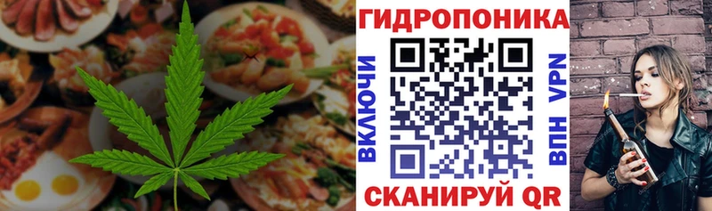 Еда ТГК марихуана  Купить где  Болотное 