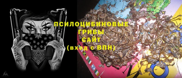 стафф Арсеньев
